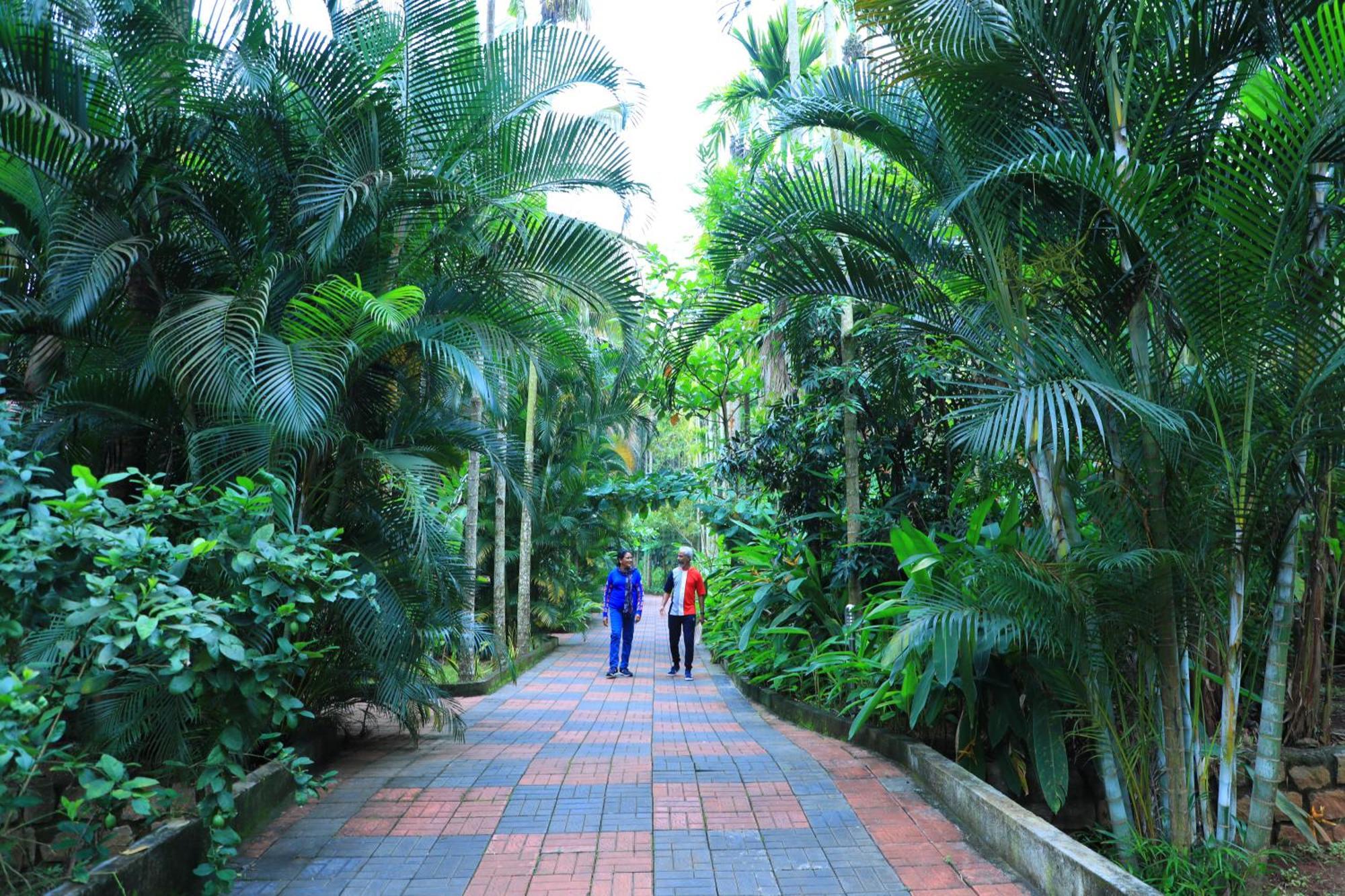 Parampara Resort & Spa, Coorg Kushālnagar 외부 사진
